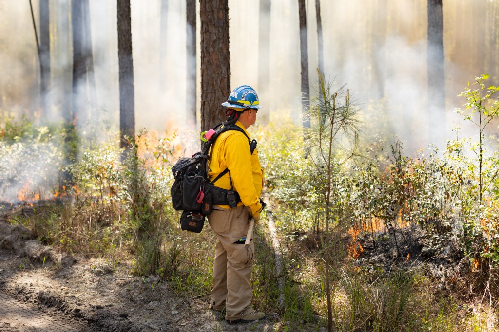 A firefighter in protective gear stands on a dirt road, looking into a smoke-filled forest.