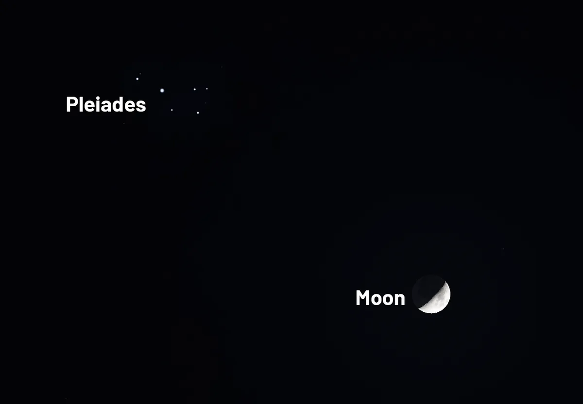 The Moon and the Pleiades are close together in the night sky, 23 February 2026, as this illustration shows. Credit: Stellarium