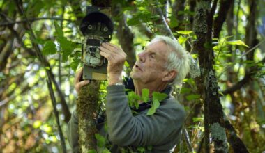 ‘Still on the case’ of elusive moose