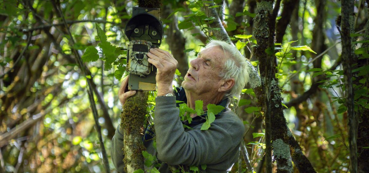 ‘Still on the case’ of elusive moose