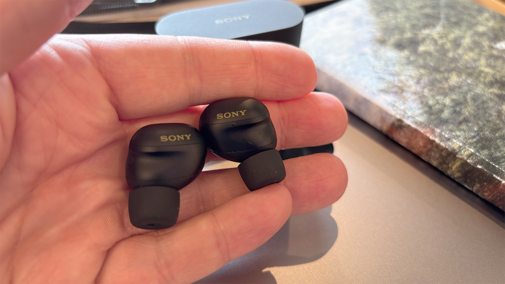 Sony WF-1000XM6 wireless earbuds