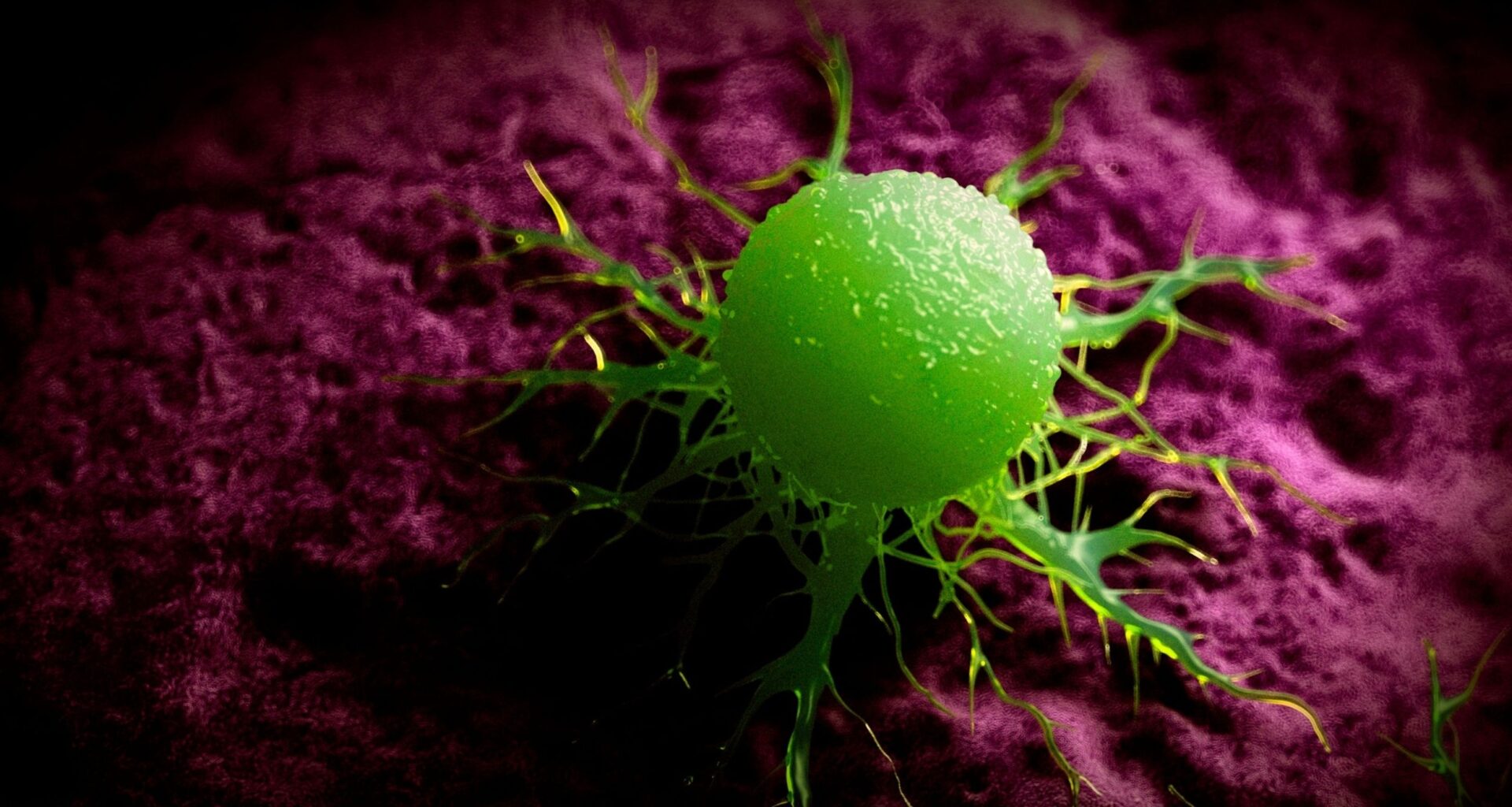 Nasal drops are shown to destroy lethal brain cancer tumors