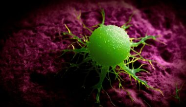 Nasal drops are shown to destroy lethal brain cancer tumors