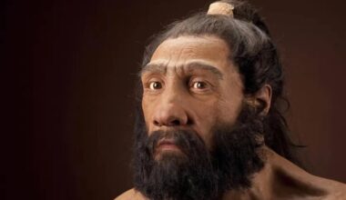 Neanderthal Men and Homo Sapiens Women