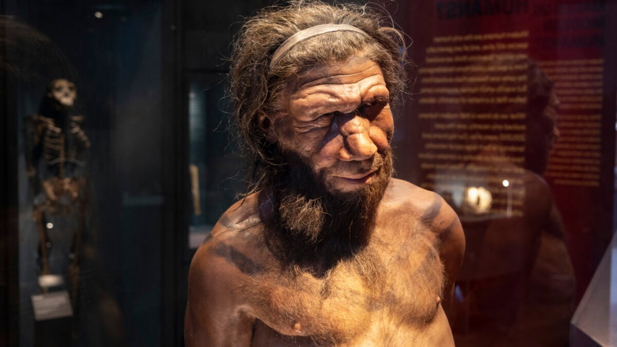 Neanderthal Men and Human Women Were Most Likely to Hook Up, Study Finds