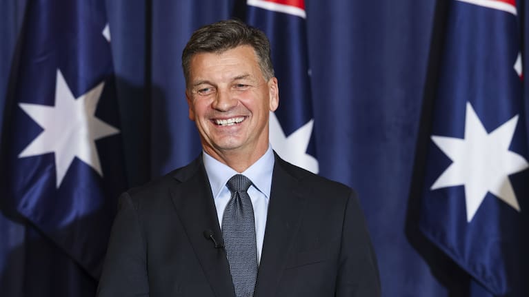 New Liberal leader Angus Taylor and new Deputy Liberal leader Senator Jane Hume during a press conference at Parliament House in Canberra
