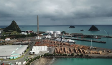 Minister want to bypass own fast-track law to speed up new gas terminal