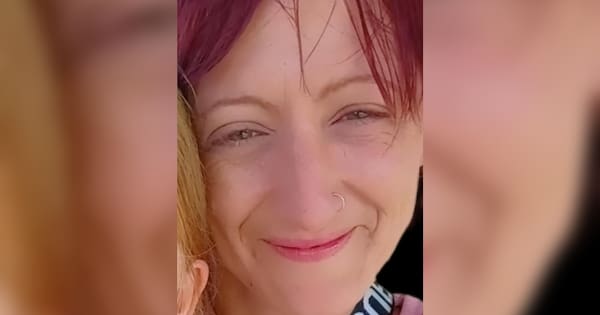 'Serious concerns' for woman after house bus found at Kaimai track