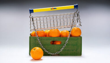 nik bentel rethinks lidl shopping cart for wire-framed 'trolley bag'