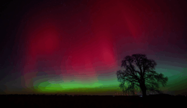 February stargazing: A planet parade comes to town
