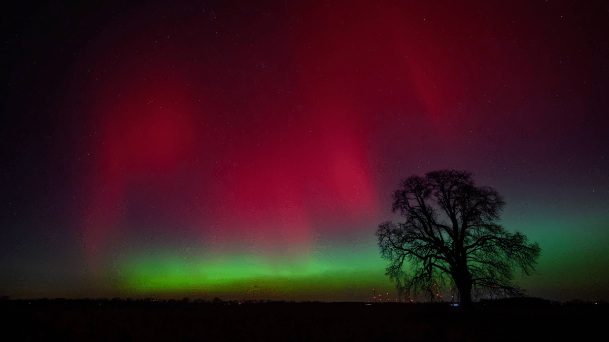 February stargazing: A planet parade comes to town