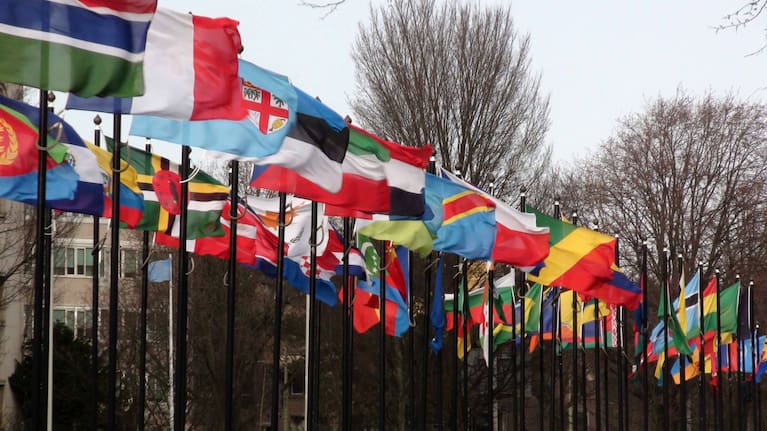 The Hague Abduction Convention is signed by over 100 countries.