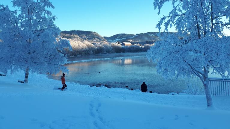 Norway courts have prevented Sophia moving home to New Zealand with her children.