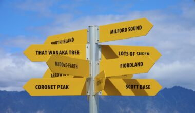 Mapping New Zealand’s uneven regional recovery