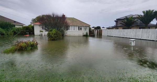 Auckland Council raises flood mitigation limit to avoid costly buyouts
