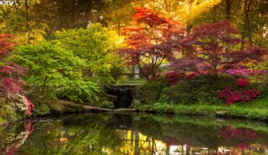 These beautiful winning spring and summer photos were shot with the same DSLR – a camera that's now 8 years old