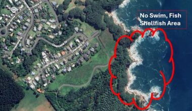 Sinkhole forms near wastewater plant in Coromandel