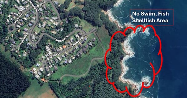 Sinkhole forms near wastewater plant in Coromandel
