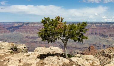 Will The US Economy Remain Resilient Despite AI Derangement Syndrome?