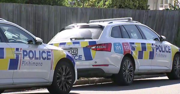 Critical injuries after dog attack in Christchurch