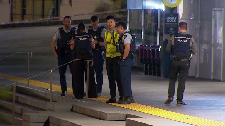 Police at the scene of the alleged assault on Lorne Street.
