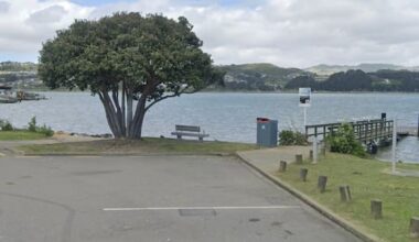 Porirua man arrested after boat chase with police