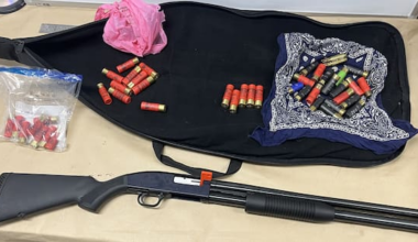 Shotgun seized amid ongoing Onehunga shooting investigation