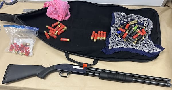 Shotgun seized amid ongoing Onehunga shooting investigation