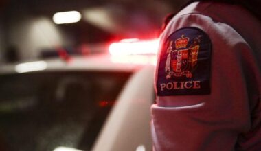 Vehicle search uncovers drugs, weapons - police