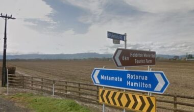 Person dies following crash in Matamata