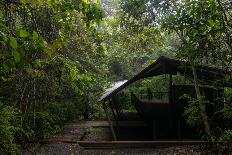 Refuge in the Rainforest - Tour Guide Training Center / Héctor Ayarza + Estudio Garúa - Image 1 of 26
