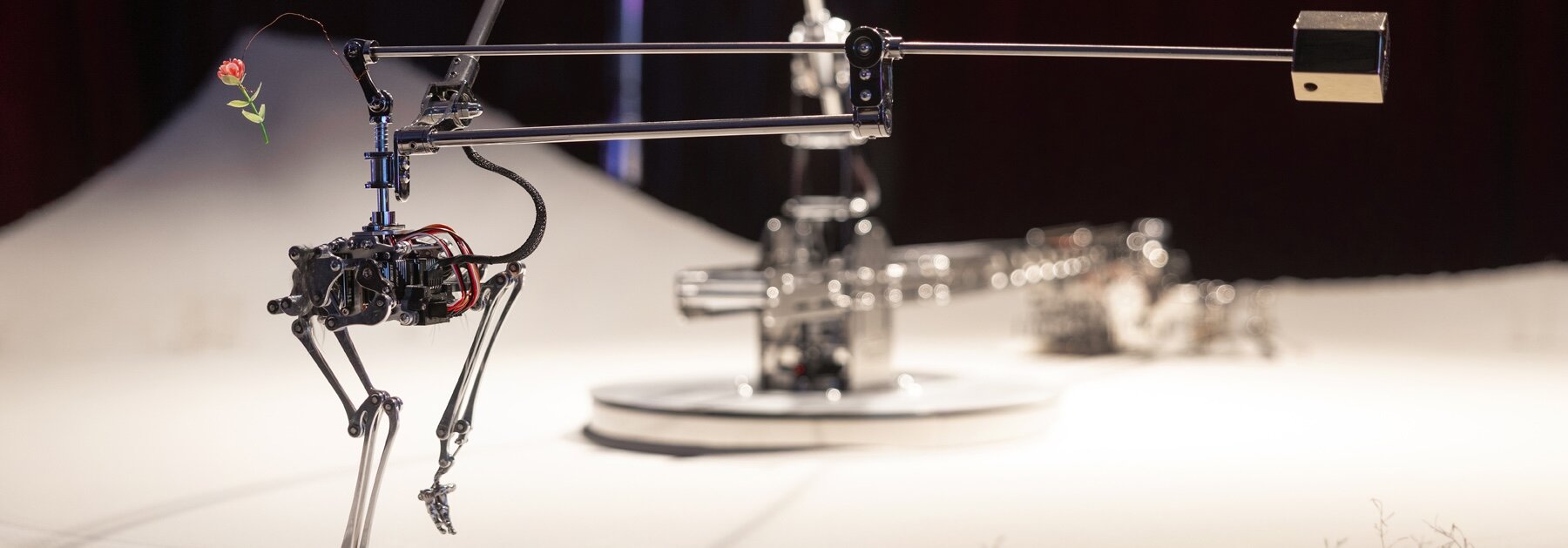 robotic bird by korean artist duo erases its own footprints