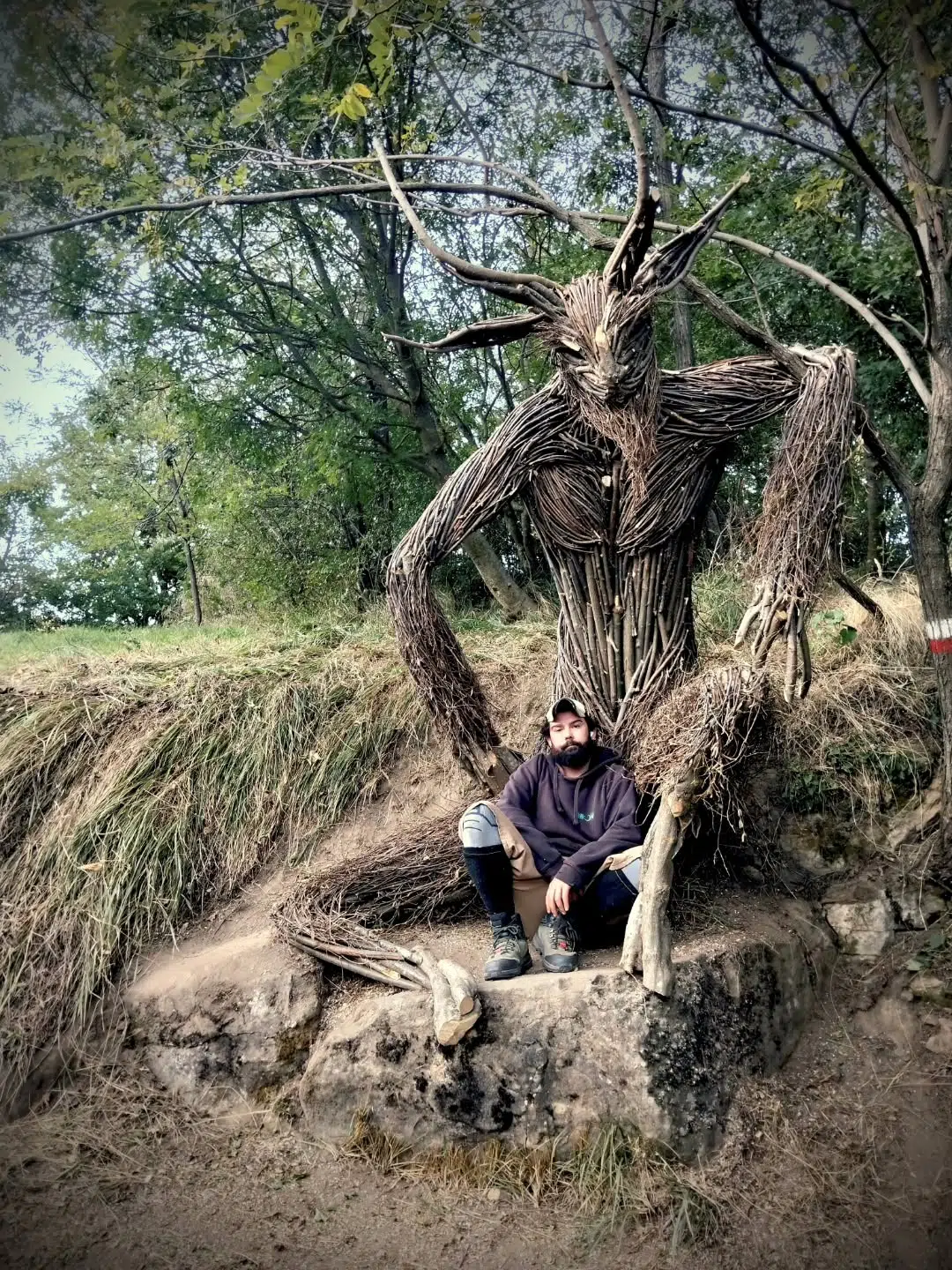 Wood and Twig Animal Sculptures by Rodolfo Liprandi