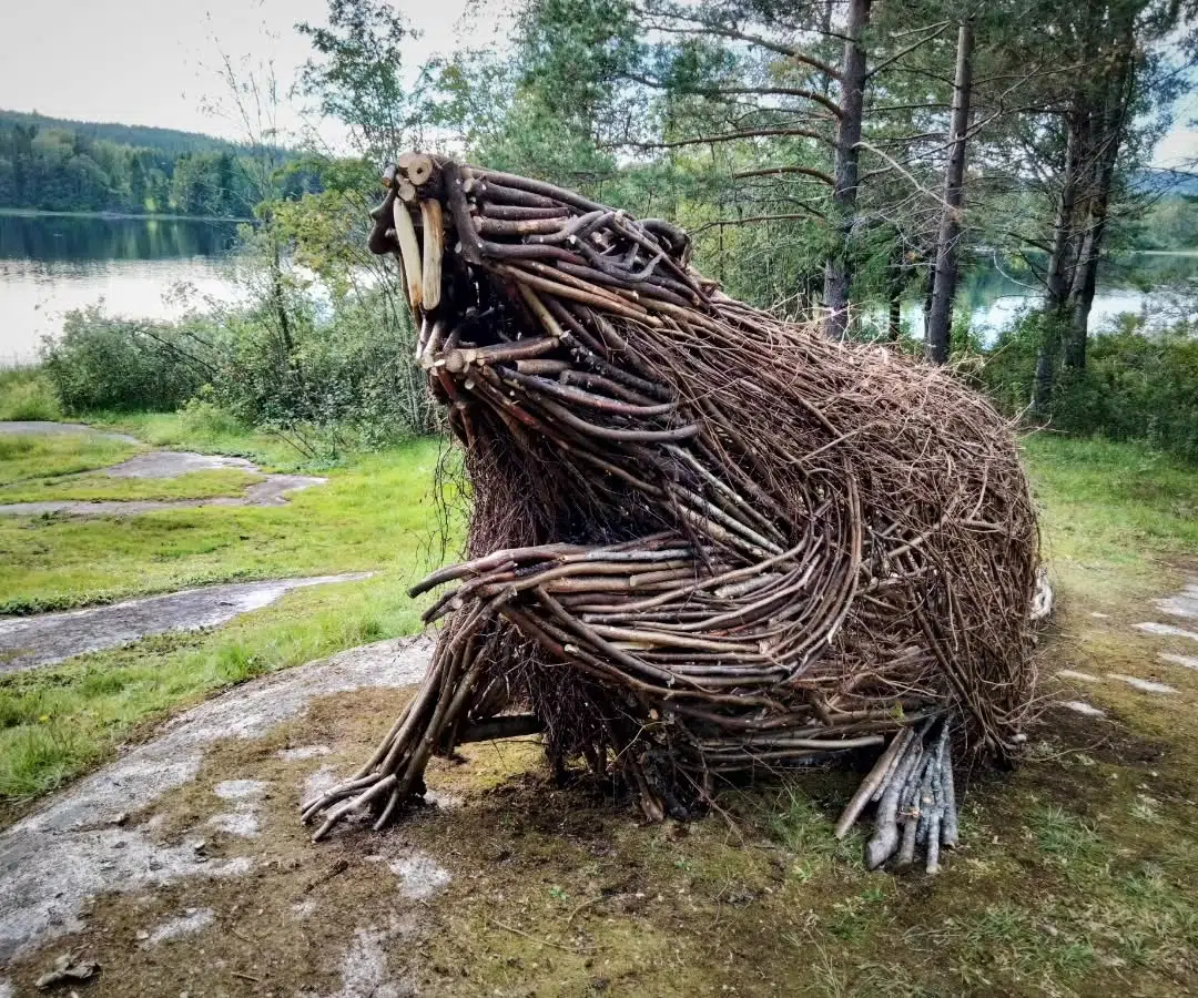 Wood and Twig Animal Sculptures by Rodolfo Liprandi