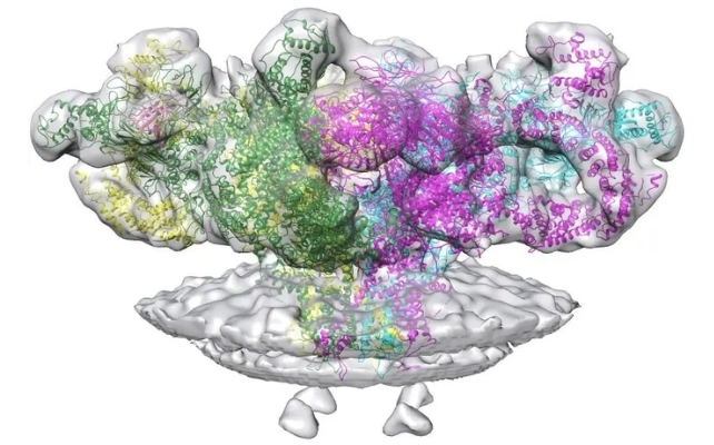 protein structure