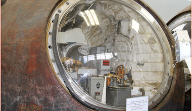 Soviet dogs spend three weeks in orbit