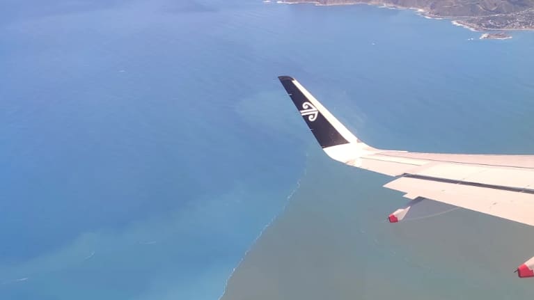 Sewage can be seen on Wellington's South Coast after a leak from the Moa Point wastewater plant.