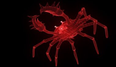 Clouds rush to deliver OpenClaw-as-a-service offerings • The Register