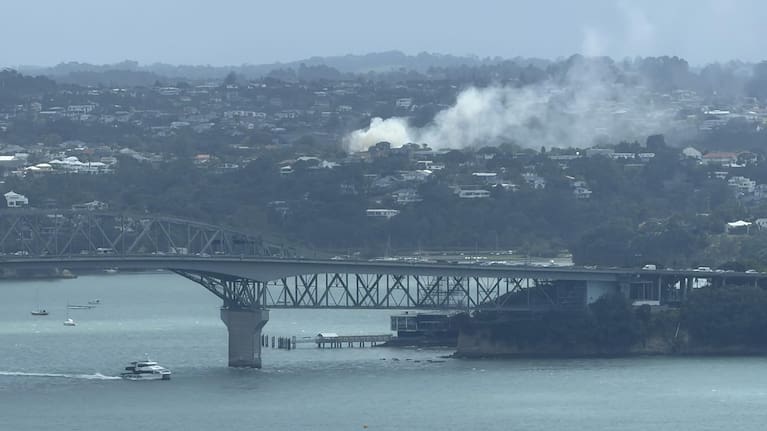 Smoke seen from Auckland CBD, with the Auckland Harbour Bridge in the foreground.