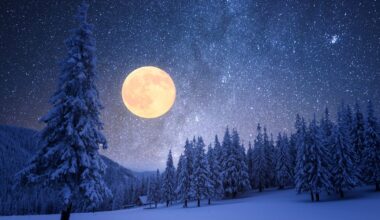 When to See the Stunning Full Moon