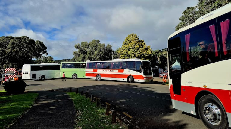 Some of the many, many buses.