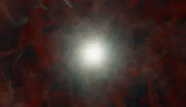 Astronomers watch a massive star collapse into a black hole without a supernova