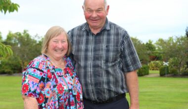 Party in the Park celebrates 20 years