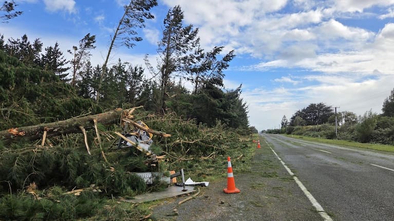 State Highway 1 has reopened through Foxton after fallen trees were cleared.