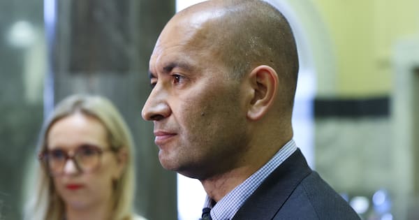 National to campaign on review of 'controversial' Hauraki Gulf fishing rules