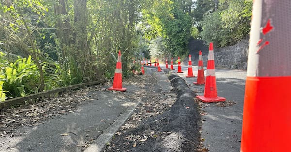 Aucklanders face 10 weeks of road closures