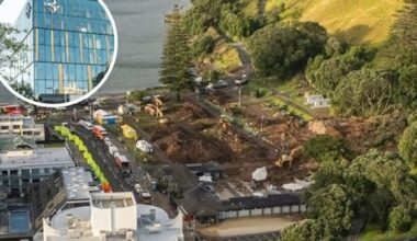 Council meets to weigh options for inquiry