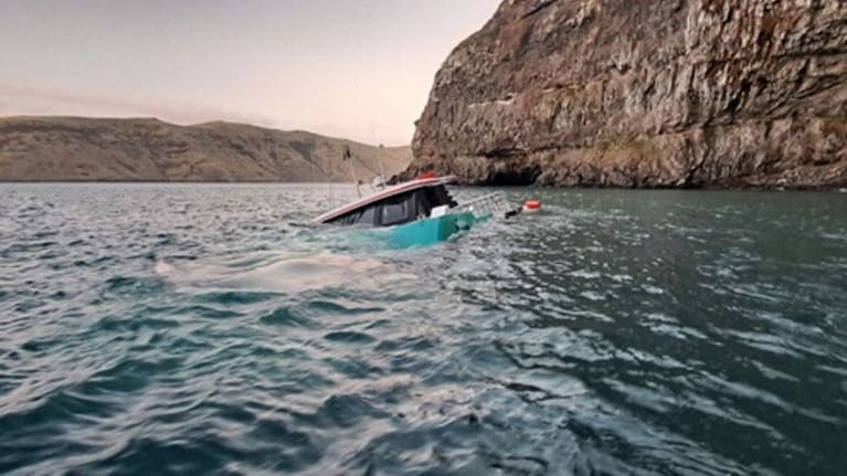 The Black Cat Cruises catamaran grounded on Saturday.