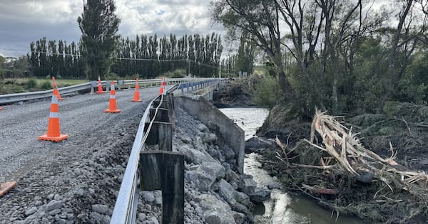 'Amazing community' effort to reinstate vital Wairarapa bridges