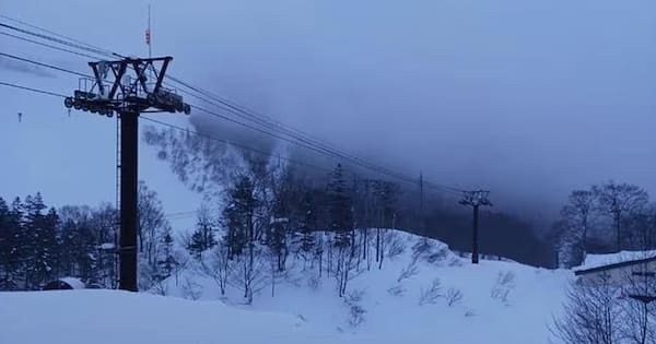 Australian snowboarder dies in freak ski lift accident in Japan